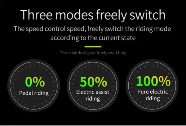 20inch Brushless  Electric Bicycle - Image 15