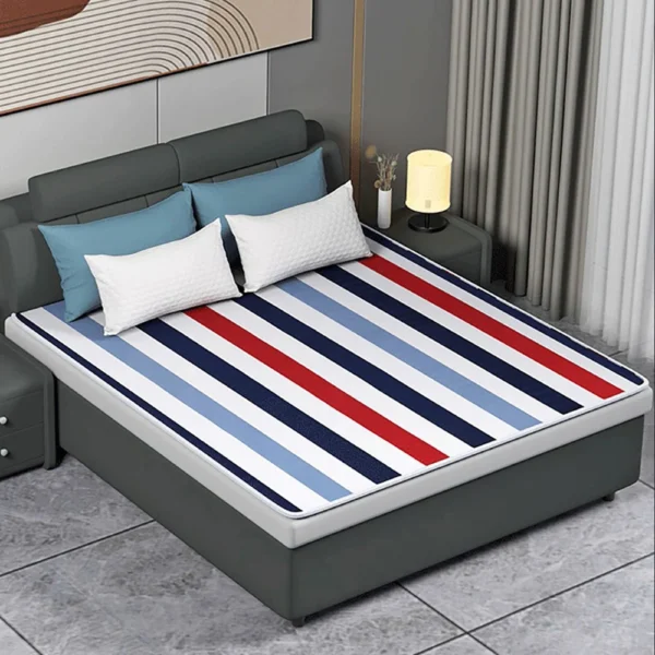 Electric Blanket 220V Thicker Automatic Thermostat - Image 20
