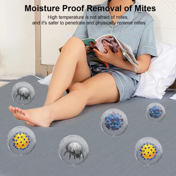 Electric Blanket 220V Thicker Automatic Thermostat - Image 15