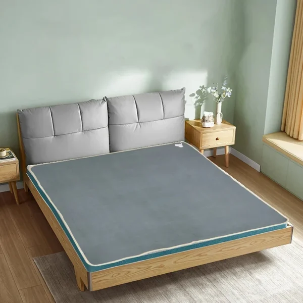 Electric Blanket 220V Thicker Automatic Thermostat - Image 19
