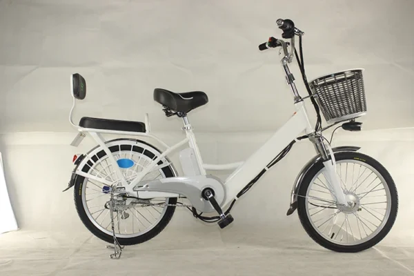 20inch Brushless  Electric Bicycle - Image 7