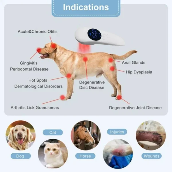 Laser Pain Relief Therapy Physiotherapy - Image 14
