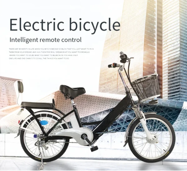 20inch Brushless  Electric Bicycle - Image 10