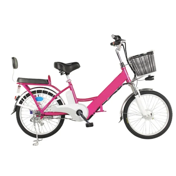 20inch Brushless  Electric Bicycle - Image 5